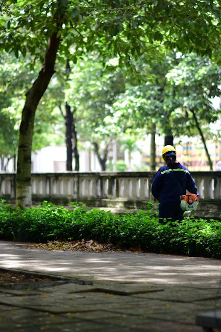 A gardener, wearing a dark long-sleeved top and a grey cap, is trimming a well-maintained hedge with long-handled pruning shears. The hedge has small, dense, green leaves with light-colored edges and 